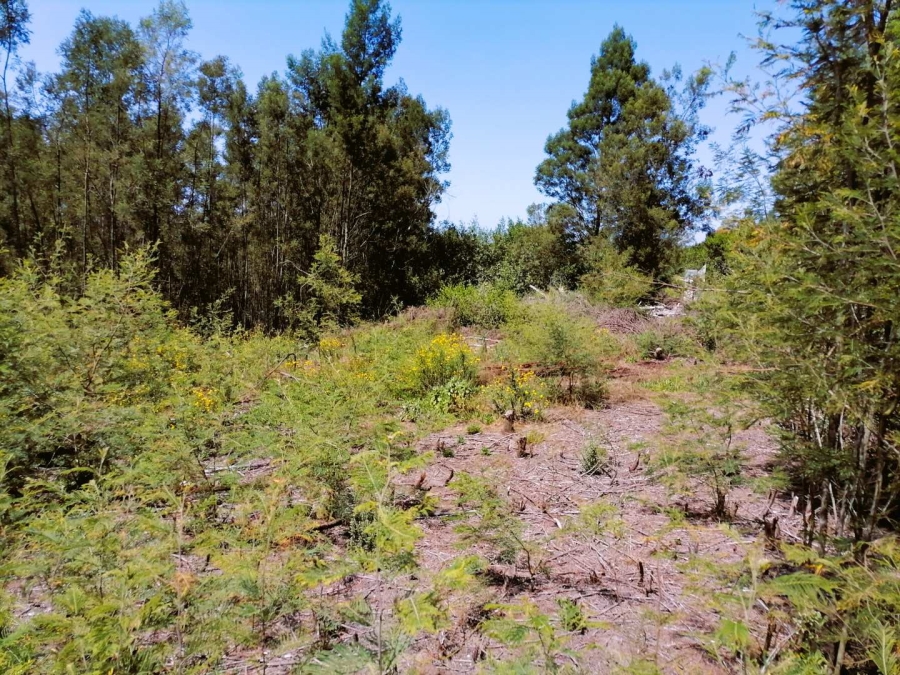 0 Bedroom Property for Sale in Sedgefield Central Western Cape